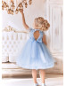 Feifei Sleeves Sky Blue Tulle Floral Flower Girl Dress